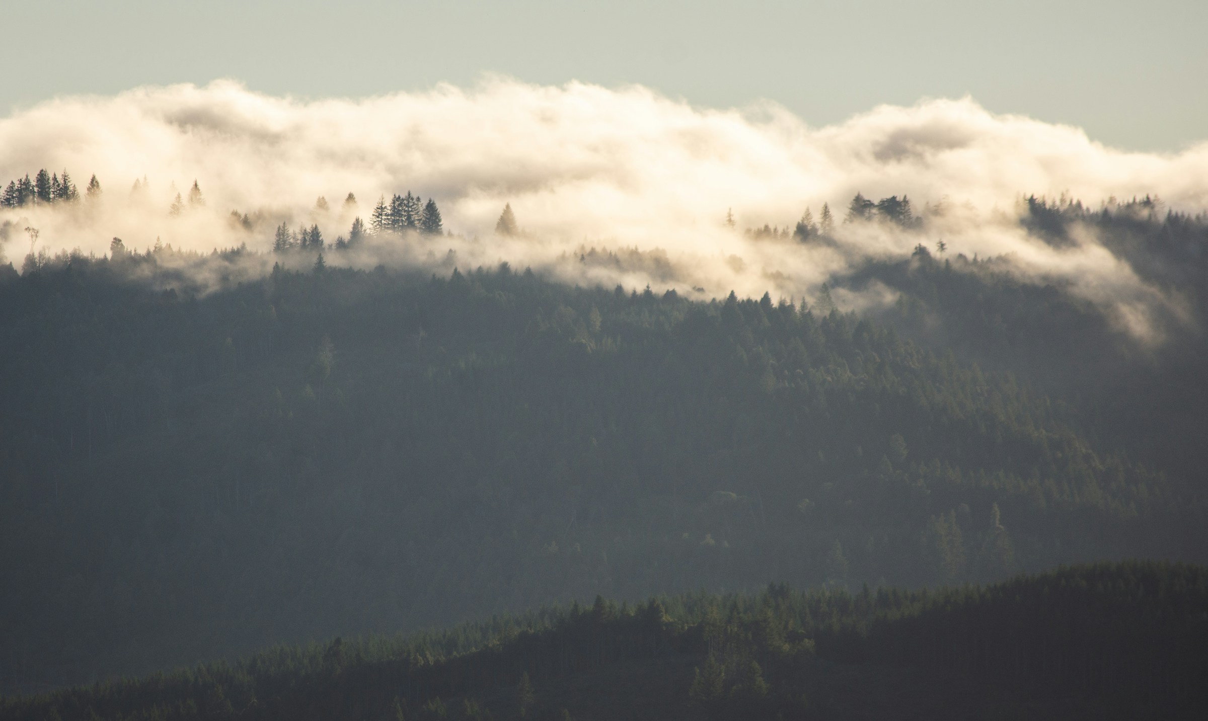 California foggy mountain ridgeline